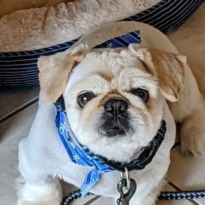 Meet your Posher, Sharon